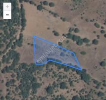 Sahibinden Acil Satılık Tarla