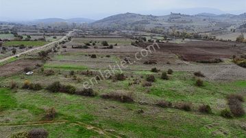 Balnova Dan Bigadiç Emirler 1.769 M2 Kadastra Yol Cepheli Tarla