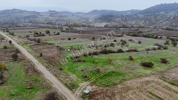 Balnova Dan Bigadiç Emirler 1.769 M2 Kadastra Yol Cepheli Tarla