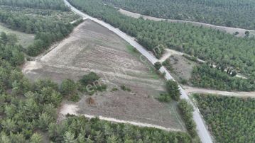 Balnovadan Bigadiç Yolbaşı 1.507 M2 Asfalt Yol Cepheli Tarla