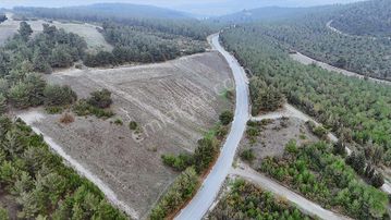 Balnovadan Bigadiç Yolbaşı 1.507 M2 Asfalt Yol Cepheli Tarla