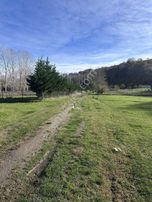 Kıyıköy Manastır Mevkinde Orman Cephe Satılık Tarla