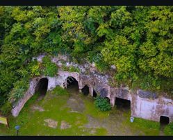 Kıyıköy Manastır Mevkinde Orman Cephe Satılık Tarla