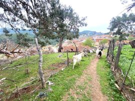 🔴🔴aktif'ten Burhaniye Kuyumcuda %40 İmarlı 337 M² Satılık Arsa 🔴🔴