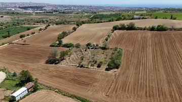 2150 M2 Üzüm Bağı, Yeni Olacak Çanakkale Yoluna 500 Mt Mesafede