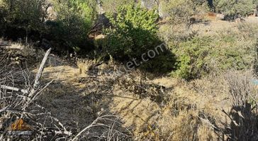 Ayvalık Çamobada 374 M² Müstakil Tapulu Köyiçi Arsa