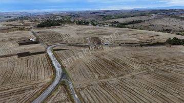 Bıyıkali Mah. Ulaşımı Kolay Verimli 2973 M² Tarla