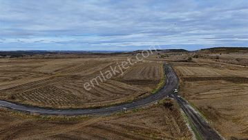 Bıyıkali Mah. Ulaşımı Kolay Verimli 2973 M² Tarla