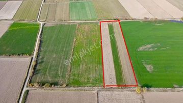 Nazilli Yazırlı Mahallesi’nde Satılık Tarım Arazisi