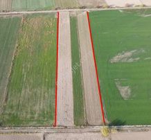 Nazilli Yazırlı Mahallesi’nde Satılık Tarım Arazisi