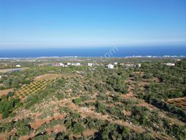 Ayaş Kumkuyu Çanakçı Da Satılık 400 M2 İmar Parseli