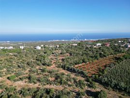 Ayaş Kumkuyu Çanakçı Da Satılık 400 M2 İmar Parseli