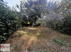 Borsem Datça - Reşadiye Dalya Evleri Satılık 3+1 Villa