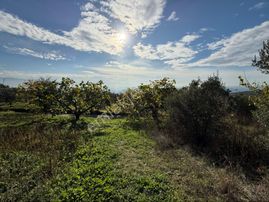 Osmangazi Gündoğdu Köyü Satılık Yatırımlık Tarla
