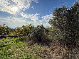 Osmangazi Gündoğdu Köyü Satılık Yatırımlık Tarla