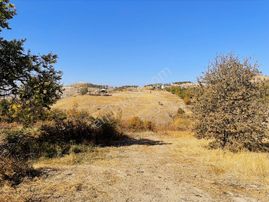 Coldwell Banker Safir'den Gündüzbey De 5400 M² Satılık Bağ