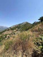 Alanya Çamlıca'da 1.576 M2 İmarlı Arsa