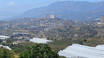 Vega Invest'ten Alanya Kargıcak'ta Ticari+konut İmarlı Arsa