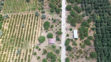 Elektrik & Su Hazır! Ana Yola Yakın, Huzur Bahçesi