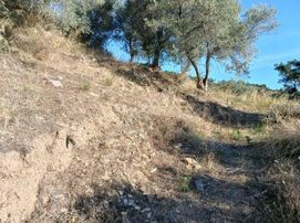 İzmir Bayındır Dernekli'de 264 M2 Köyiçi Uygun Bahçe. Açıklamayı Okuyarak Arayınız.