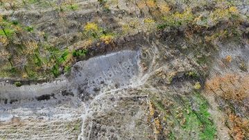 Damlacıkta Bahçe 'm Olsun Diyenlerdenmisiniz ?