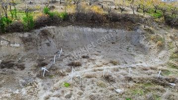 Damlacıkta Bahçe 'm Olsun Diyenlerdenmisiniz ?