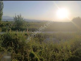 Denizli Pamukkale Yeniköy De 7250 M2 Tarla