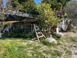 Karaova Yan Yana İki Tapu Elektrik Su Mevcut Denizmanzara Zeytin Üzüm İncir Köy Evi Bulunan Arsa