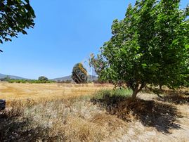 Mega'dan Yeşilyurtta Satılık 3500 M2 Arazi