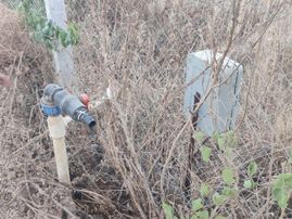 Menderes Develi De Fırsat Bahçe