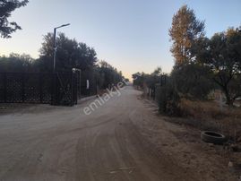 Menderes Develi De Fırsat Bahçe