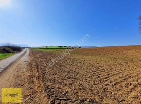 Turpa Buca'dan Kadastral Yol Cepheli Köy Merkezi Yakınında Tarla