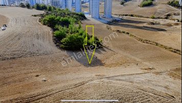 Zorlu'dan Boynuyoğun Mah. Satılık Tek Tapu Arsa