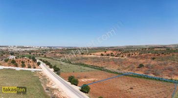 Suboğazı Tuğlu Arası Asfaltüstü Tektapu Şehre 10dk Uygun Fiyat