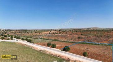 Suboğazı Tuğlu Arası Asfaltüstü Tektapu Şehre 10dk Uygun Fiyat