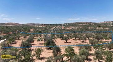 Arıl Nizip Yoluna Yakın Resmi Yola Cepheli Gaziantep 25 Dk Frsat