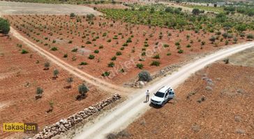 Suboğazı Tek Tapu Resmi Yola Cepheli Şehre 10 Dk Uygun Fırsat