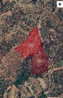 Berkay Emlaktan Karacasu Bahçeköyde Satılık Zeytinlik