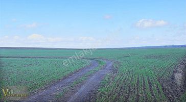 Saray Göçerler'de 7.500m2 Tek Tapu Kadastro Yola Cephe Tarla