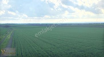 Saray Göçerler'de 7.500m2 Tek Tapu Kadastro Yola Cephe Tarla