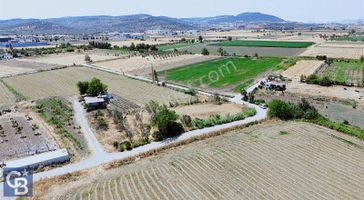 Aliağa Helvacı'da Satılık Tarla