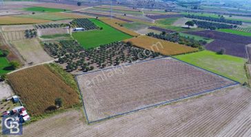 Aliağa Yalı Mahallesi'nde Yatırıma Uygun Satılık 13500 M2 Tarla