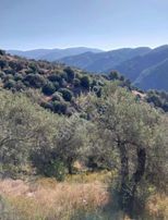 Doğa Dostu'ndan Bayındır Yakapınar Tek Tapu 3612 M2