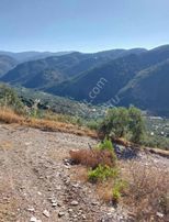 Doğa Dostu'ndan Bayındır Yakapınar Tek Tapu 3612 M2