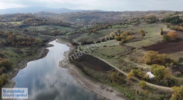 Bursadabul'dan Yalıntaş Gölette Ceviz Bahçesi 2.900m2