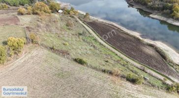Bursadabul'dan Yalıntaş Gölette Ceviz Bahçesi 2.900m2