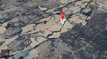 Pınarhisar Kurudere De 12.146 M2 Tarla ( Takasa Açık )