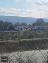 Balıklıdere De Arsa Ya Çevrilebilen Yatırımlık Zeytinlik