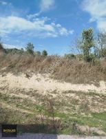 Balıklıdere De Arsa Ya Çevrilebilen Yatırımlık Zeytinlik