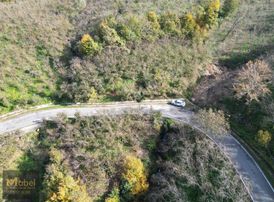 Mabel'den Yol Kenarı Satılık 3 Dönüm Fındıklık Mükemmel Konum